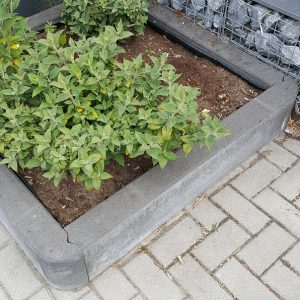 Boomkrans 100x100x20 cm Antraciet